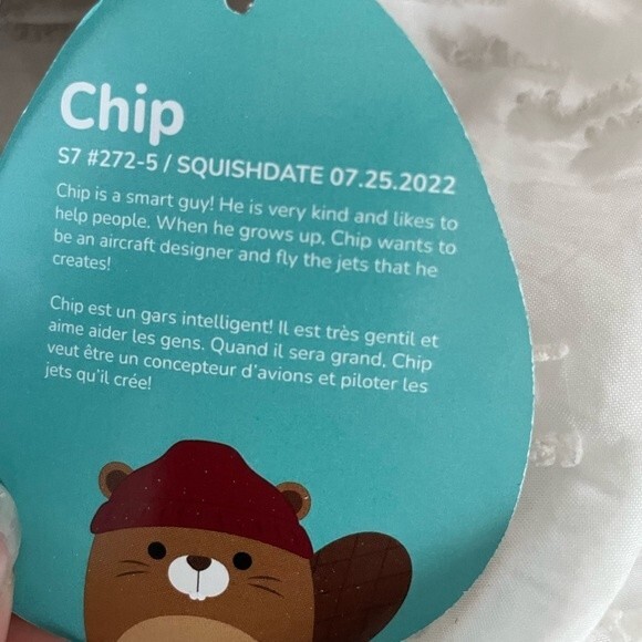 NEW Fall Harvest Chip the Beaver with Hat Squishmallow 7” 2022 - New With Tags - Picture 5 of 5